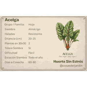 Fichas de cultivos comunes de la huerta, con siembra, distancias y días a cosecha