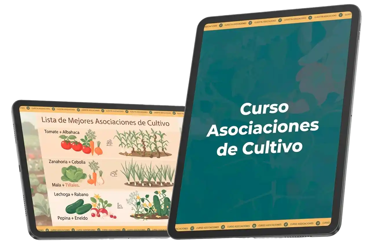 Curso Asociaciones de Cultivo de Huerta Sin Estrés