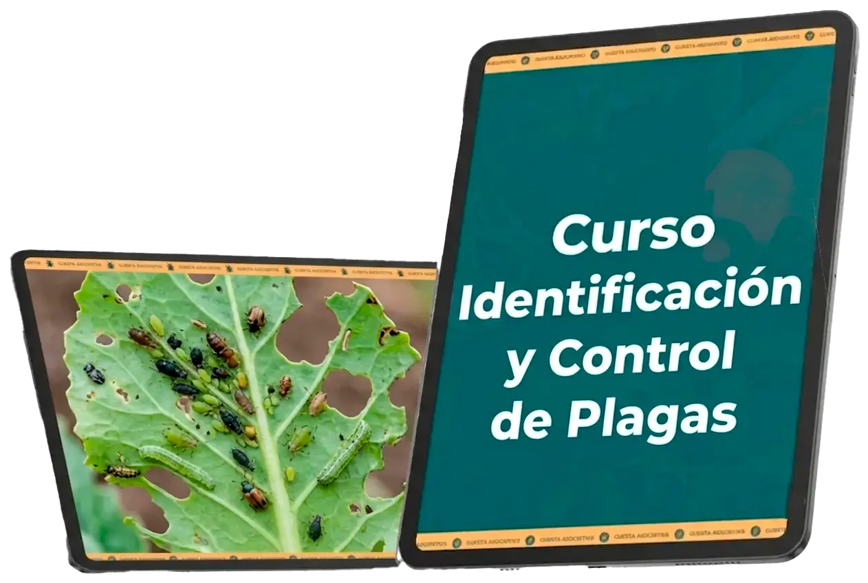 Curso Identificación y Control de Plagas de Huerta Sin Estrés