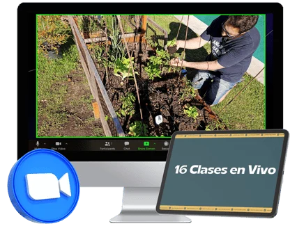 Clase en vivo por Zoom mostrando el cuidado de la huerta, junto a una tablet con '16 Clases en Vivo'