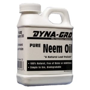10 Preguntas que hay que conocer sobre el aceite de neem. Insecticida y Funguicida Organico