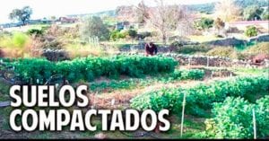 Como evitar y solucionar la compactacion del suelo