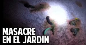 Masacre en el Jardin – Un método casero para eliminar Gusanos en el Huerto – No apto para personas impresionables