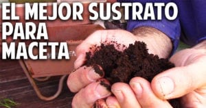 Hoy vamos a ver como preparar un sustrato completo ideal para macetas, mesas de cultivo o macetohuertos. Te voy a contar cuales son las propiedades de un suelo ideal y que nutrientes es fundamental incorporar para que nuestras plantas crezcan sanas y fuertes. #plantas #macetas #jardin #jardineria #cultivar #huertourbano #huerto