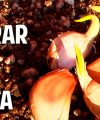 Cómo cultivar Ajo