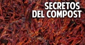 10 secretos que debes conocer sobre compost y humus de lombriz