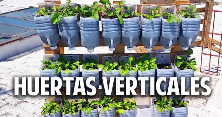 3 huertas verticales geniales con materiales reciclados