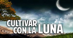 Como cultivar con las fases de la luna – bien explicado y facil de recordar