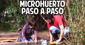 Como hacer una huerta pequeña en casa paso a paso, facil, economico y bien explicado