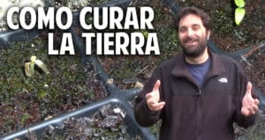 Cómo reciclar la tierra enferma de tus macetas y semilleros
