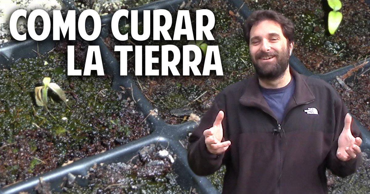 Cómo reciclar la tierra enferma de tus macetas y semilleros