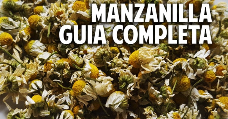 Guia completa para el cultivo de la manzanilla