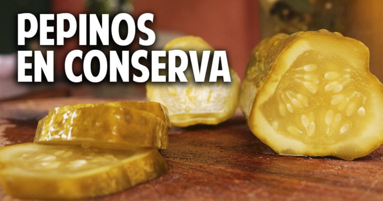 Pepinos en conserva con fermentación natural, facil y saludable
