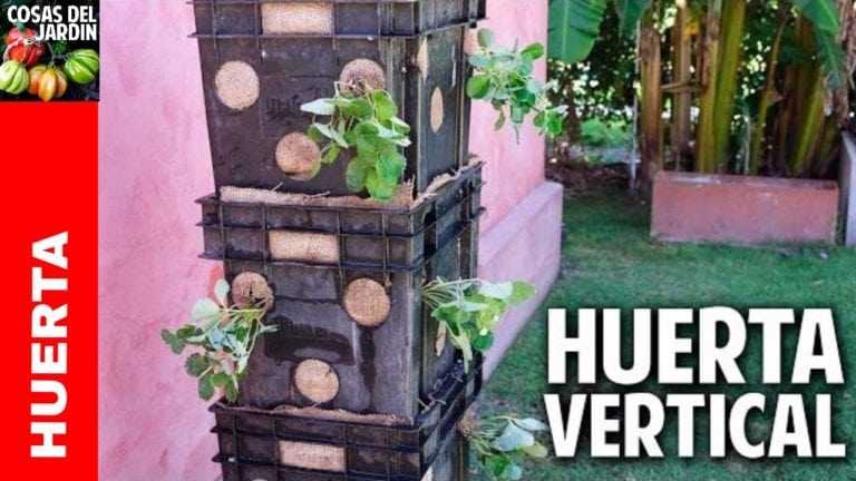 Cómo hacer una huerta vertical de frutillas con materiales reciclados en menos de una hora.