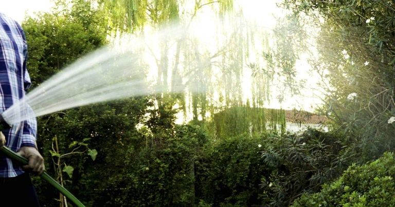 Se puede utilizar la orina como fertilizante?
