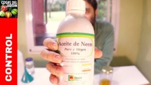 Cual es la forma correcta de preparar y utilizar el aceite de neem como insecticida