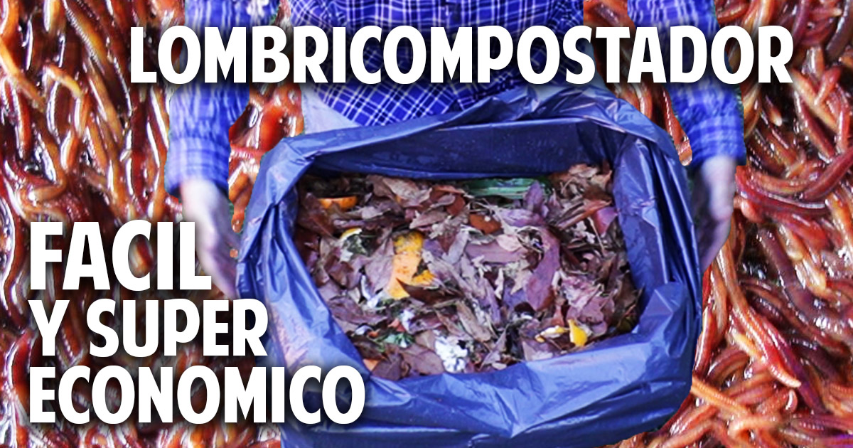 Como hacer una vermicompostera con una caja de cartón – Facil y muy accesible
