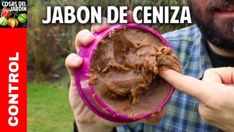 Por fin alguien te explica bien la receta de como hacer jabón a partir de ceniza – jabon potasico natural