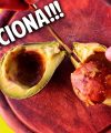 Cultivo de aguacate