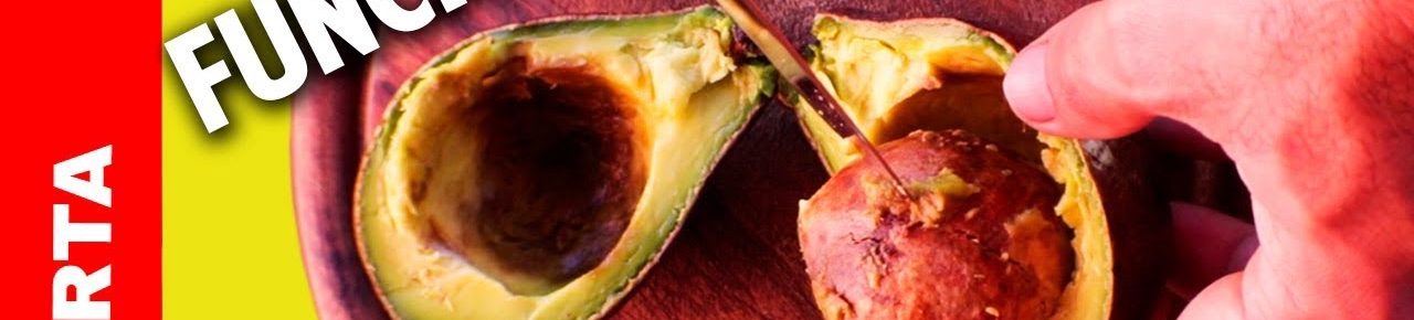 Cultivo de aguacate