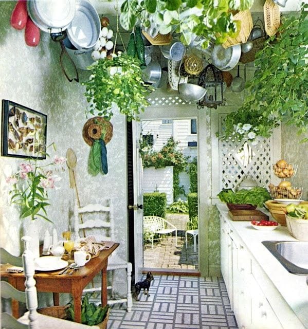 Plantas de interior en la cocina: qué plantas crecen mejor en la cocina?