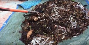 Pila de compost casi finalizada