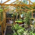 montando resto de los tirantes que soportaran el nylon del invernadero