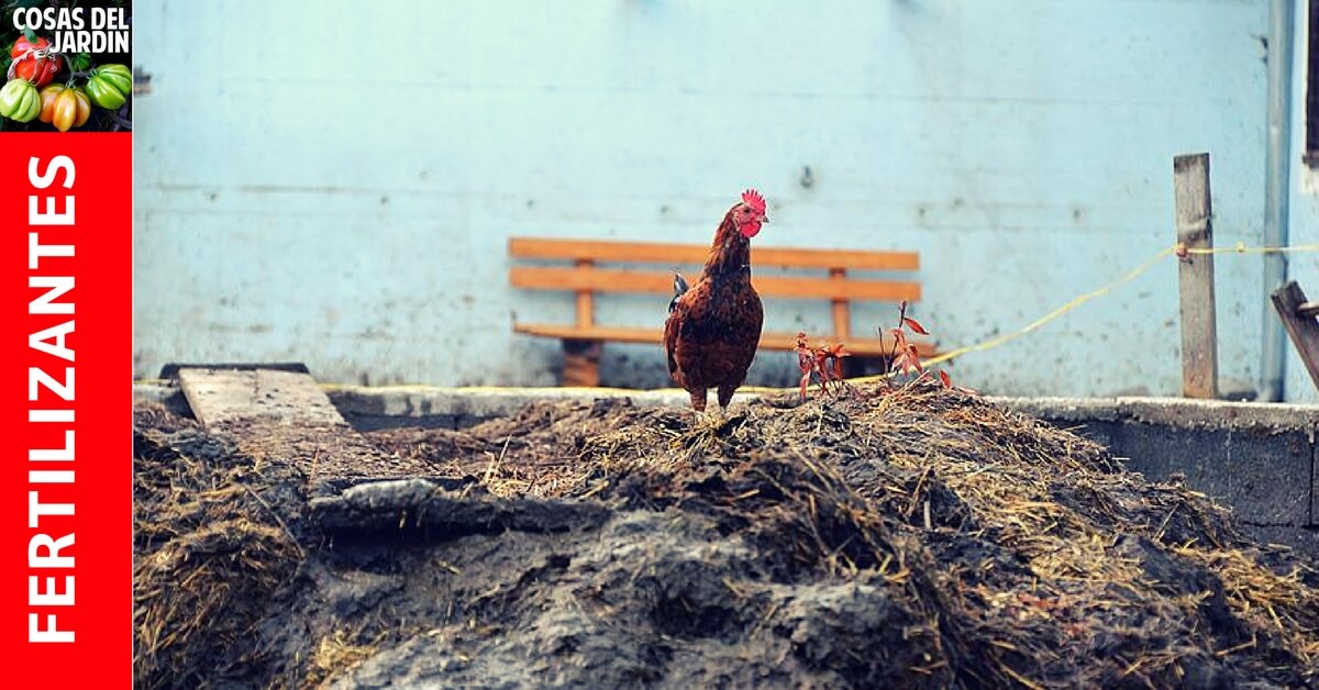 como usar abono gallinaza #huerto #huerta #huertourbano #jardineria #jardin #cultivar #compost