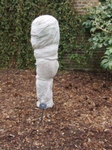 cobertura arbol invierno