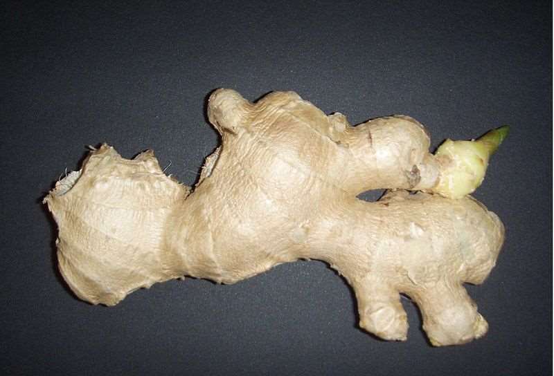 Cultivo de jengibre