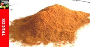 La canela en polvo es tan versátil que se puede utilizar para ayudar a que enraicen los esquejes, para evitar que los hongos maten a las plántulas pequeñas e incluso para mantener a las hormigas lejos de tu hogar. Sigue leyendo para aprender como usar la canela en las plantas. #plantas #jardin #jardineria #huerto #huertourbano #cultivar