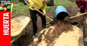 como usar aserrin en el huerto #huerto #huerta #huertourbano #jardin #jardineria #cultivar