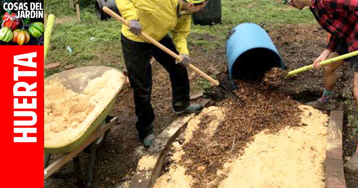 como usar aserrin en el huerto #huerto #huerta #huertourbano #jardin #jardineria #cultivar