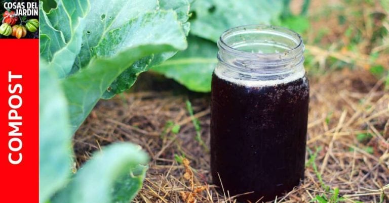 Cómo hacer te de compost en 5 pasos, beneficios y precauciones