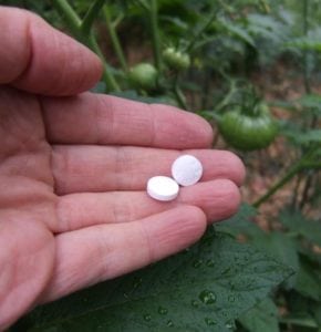 uso de la aspirina en el jardin