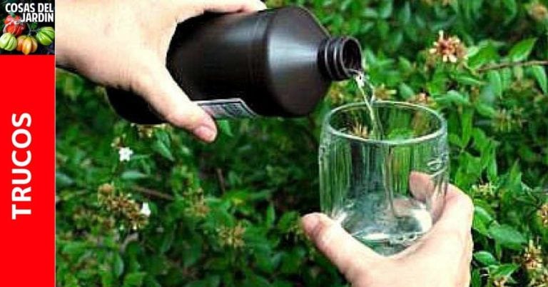 Usos del agua oxigenada en el jardín. Efectos del agua oxigenada en las plantas.