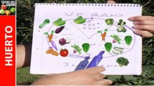 Como hacer un calendario de siembra a tu medida, fácil e intuitivo