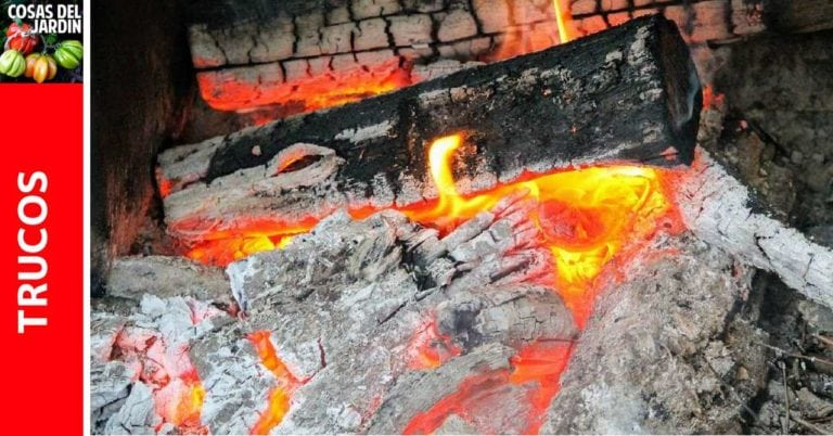 Cómo usar correctamente la Ceniza en el Jardín – Ceniza como Abono y como Insecticida