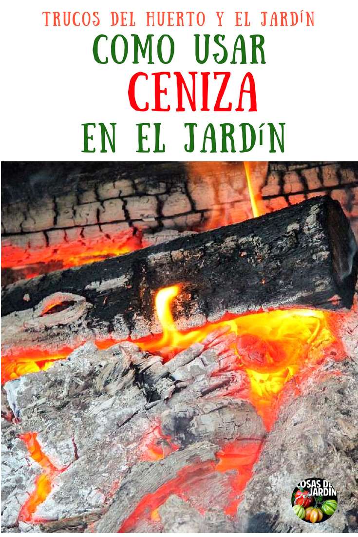Cómo usar correctamente la Ceniza en el Jardín - Ceniza como Abono y como Insecticida 1 Las cenizas tienen muchas propiedades e incluso tiene propiedades fertilizantes para el suelo. Pero es importante tener en cuenta que no todos los jardines necesitan el agregado de cenizas de madera, y que agregarlos puede incluso ser perjudicial para su suelo. #Jardin #Jardinería #Huerto #Huertourbano