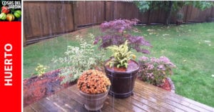 Como proteger nuestro jardín de la Lluvia