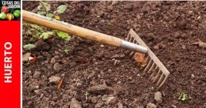 Como mejorar la calidad del suelo: cómo acondicionar el suelo para un mejor crecimiento de las plantas