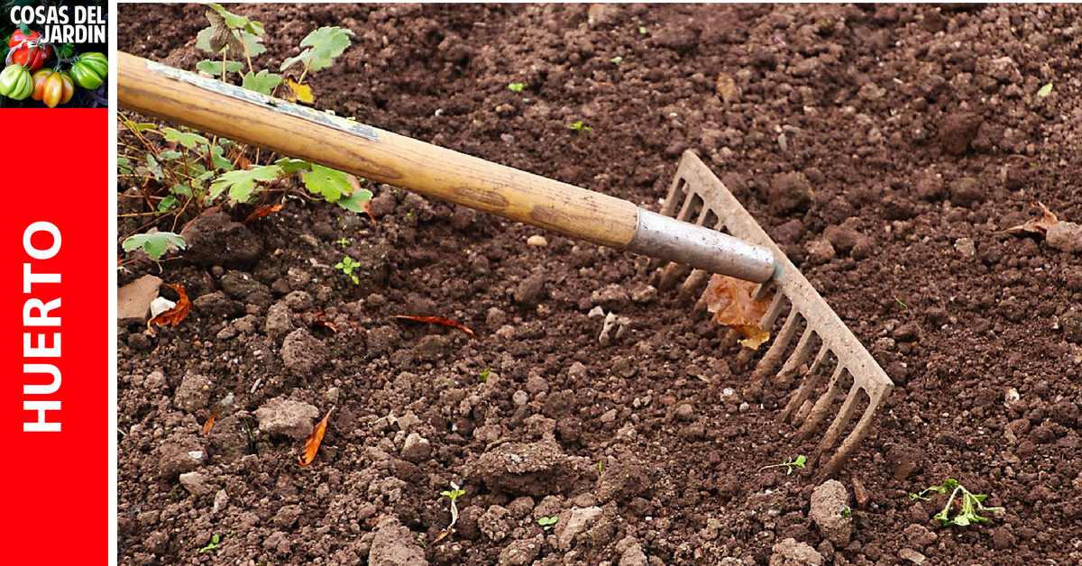 Como mejorar la calidad del suelo: cómo acondicionar el suelo para un mejor crecimiento de las plantas
