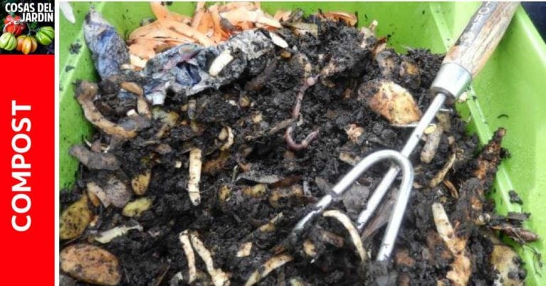 Manejo de olores de compost: Cómo hacer para que tu compost no apeste