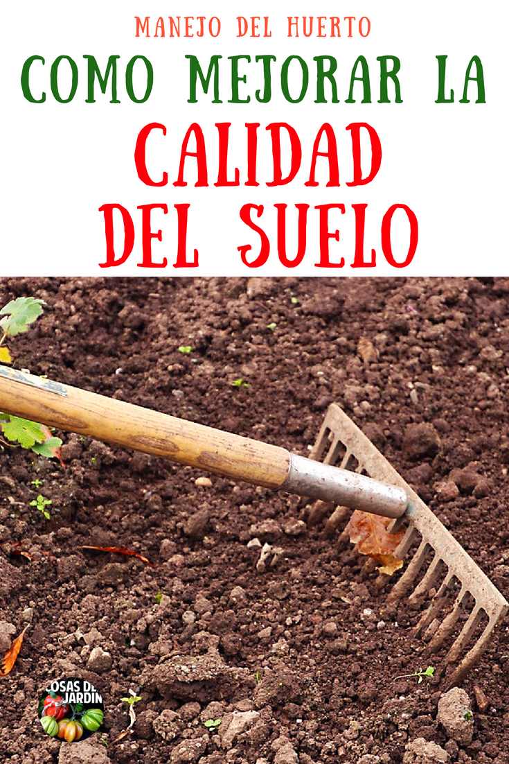 La calidad del suelo es fundamental para tener un buen cultivo. Explora aquí los distintos aspectos a tener en cuenta y como mejorarlo #Huerto #huertourbano #Jardín #Jardinería #Cultivar