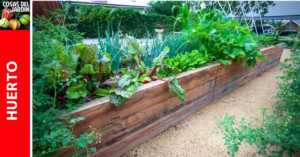 Cuánto se necesita plantar en un huerto para alimentar una familia tipo?