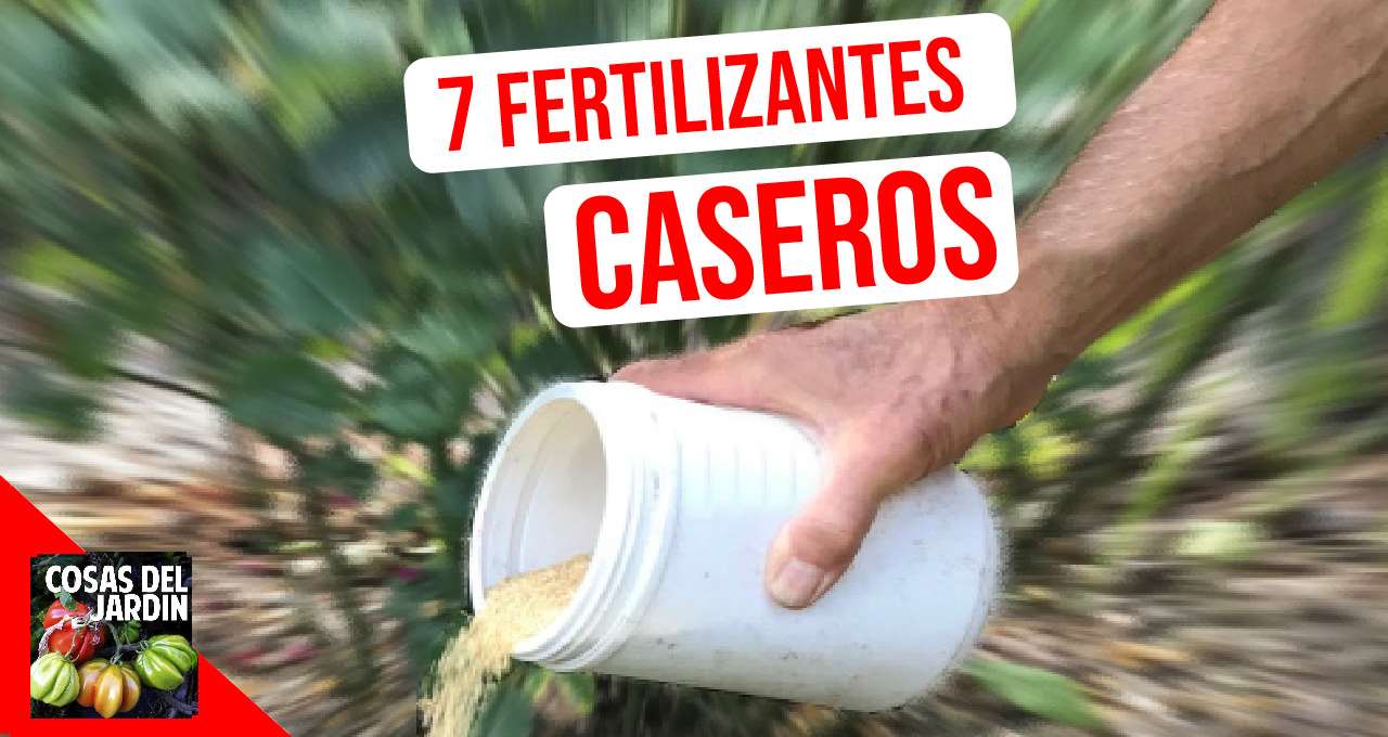 a la deriva Llevar parásito 7 recetas de fertilizantes caseros para tus plantas - Cosas del Jardin