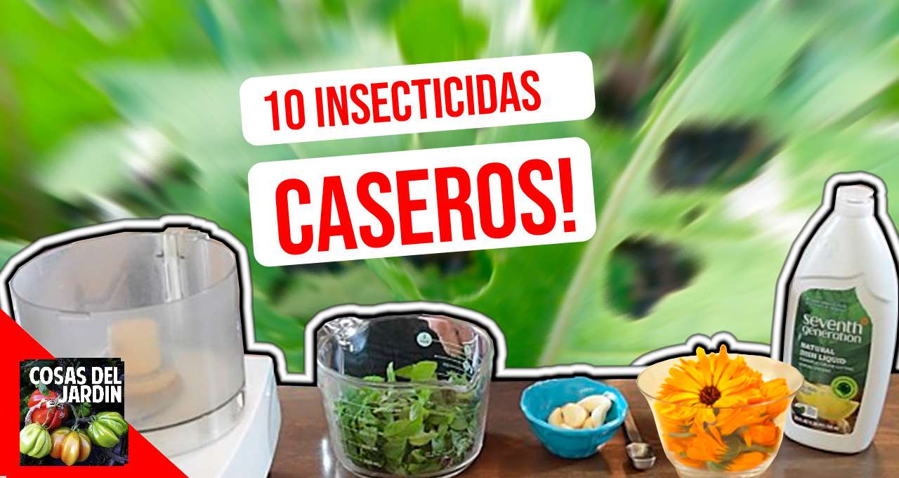 10 Insecticidas caseros orgánicos para controlar las plagas de tu huerto o jardín