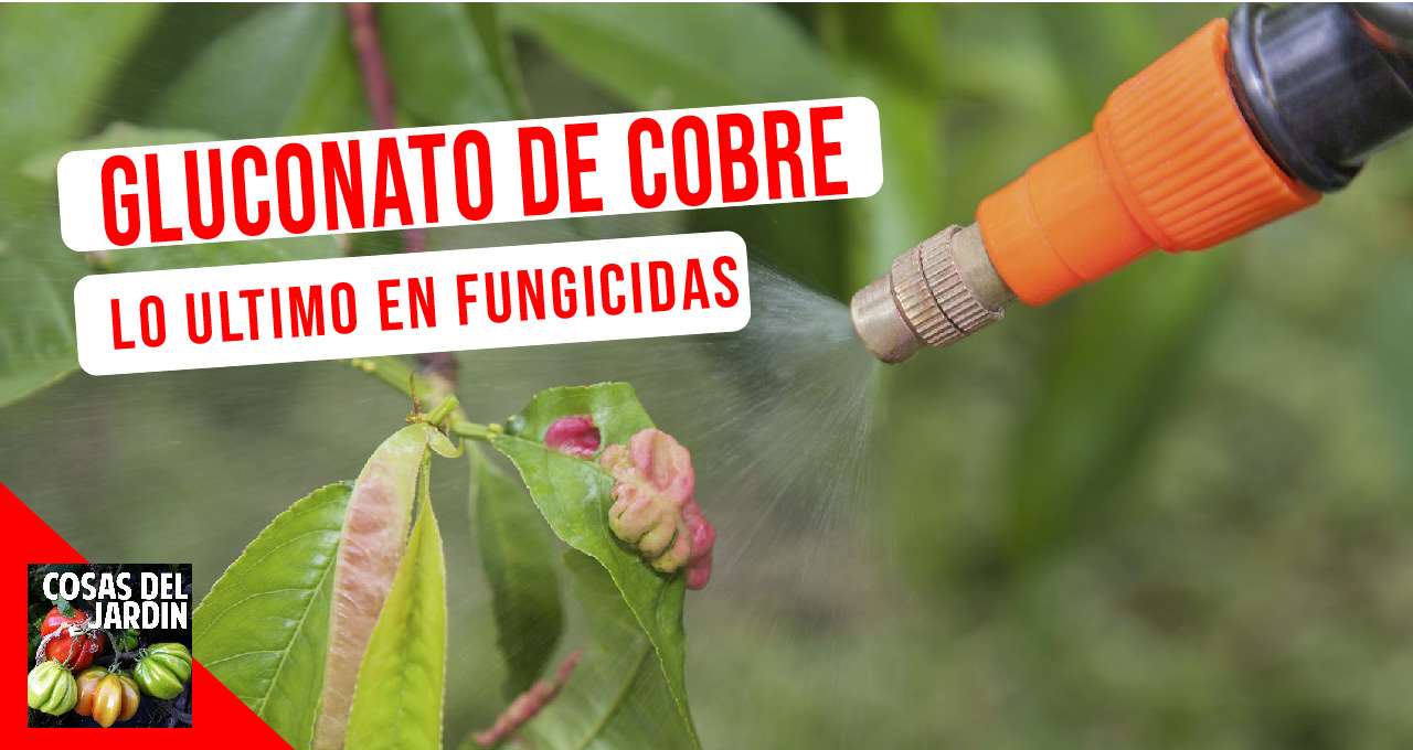 Cómo con nuevas tecnologías se pueden ofrecer productos tanto o más ecológicos que los remedios clasicos de la agricultura orgánica #Huerto #Huertourbano #Jardineria #Jardin #Cultivar