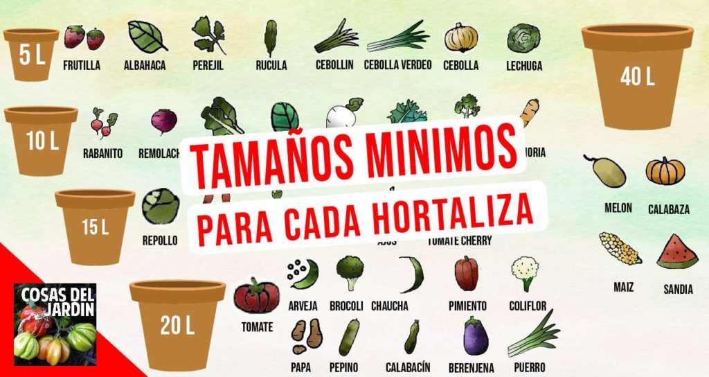 En este artículo detallaremos el tamaño mínimo que requiere cada uno de los cultivos más comunes que podemos tener en nuestro huerto. #cultivar #Jardineria #jardin #huerto #huertourbano