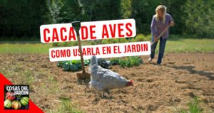 Sigue leyendo para obtener consejos sobre cómo compostar excrementos de aves y cuáles son las ventajas de utilizarlo #huerto #huerta #huertourbano #jardineria #jardin #cultivar